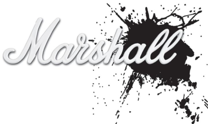 MARSHALL MG10 - Interrupteur Power - 2