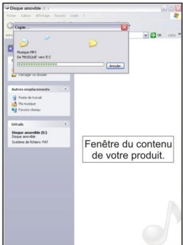 PEEKTON PEEKBOX 205 - Transférer vos fichiers - 1
