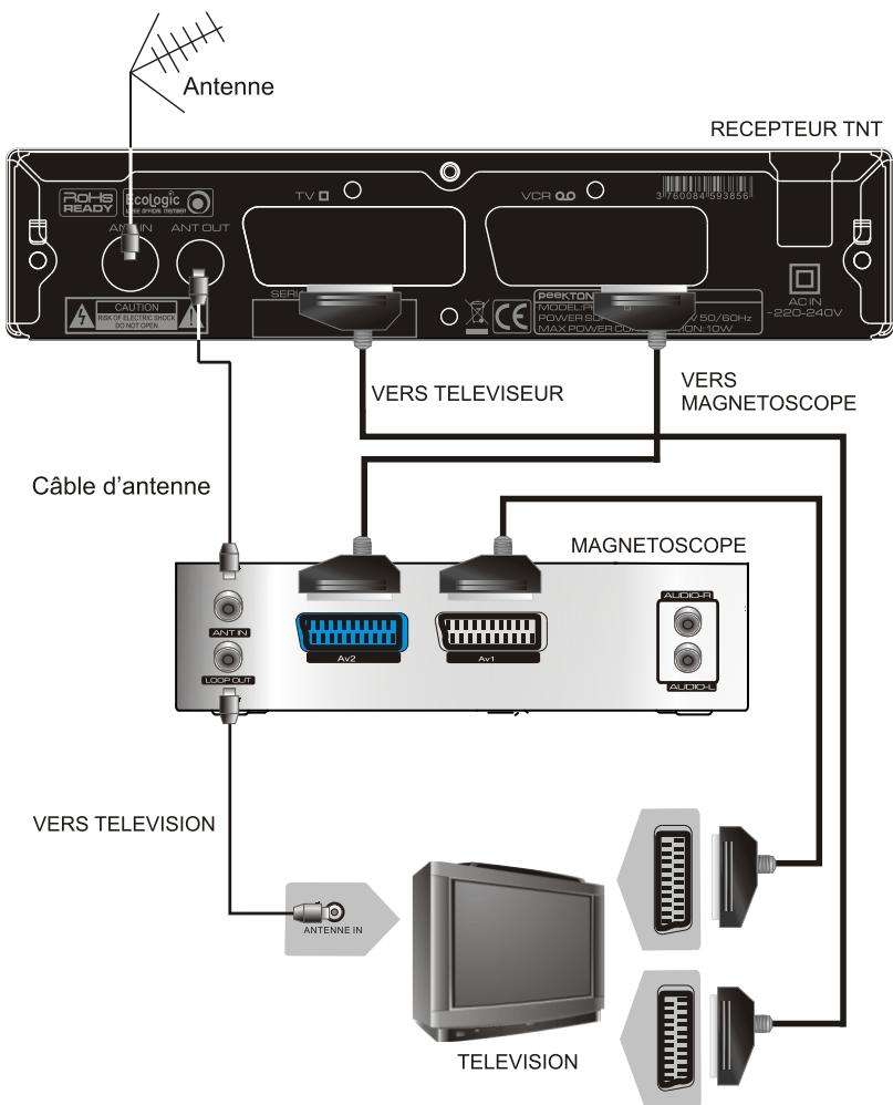 PEEKTON PK 1655 TNT - Connexions - 1