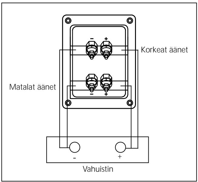 JBL XTI SUB 300 - TUPLAJOHDOTUS - 1