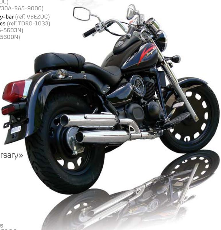 DAELIM DAYSTAR - TECHNIQUES - 2