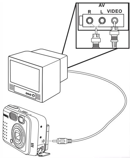 BENQ DC S40 - Affichage des images sur un téléviseur - 1