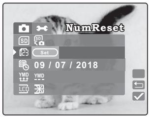 BENQ DC S40 - Réinitialiser les nombres - 2