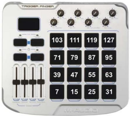 M-AUDIO TRIGGERFINGER - Paramétrer une amplitude de vitesse - 1