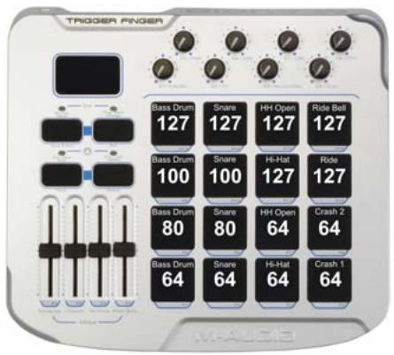 M-AUDIO TRIGGERFINGER - Paramétrer une amplitude de combinaison - 1