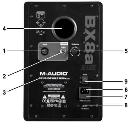 M-AUDIO STUDIOPHILE BX8A DELUXE - Face arrière - 1