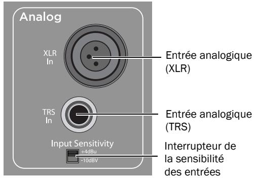 M-AUDIO STUDIOPHILE DSM2 - Branchement des entrées analogiques - 1