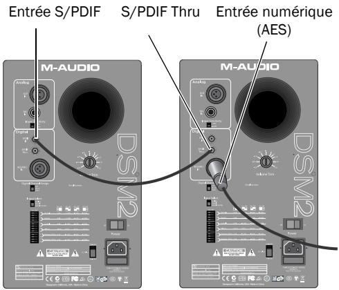 M-AUDIO STUDIOPHILE DSM2 - Connexion à des sources numériques - 1