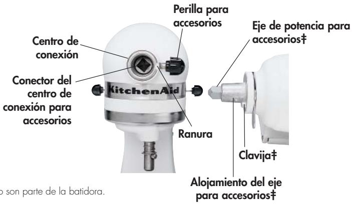 Perilla para accesorios Centro de conexión Conector del centro de conexión para accesorios KitchenAid Eje de potencia para accesorios‡ Ranura Clavija‡ Alojamiento del eje para accesorios‡ o son parte de la batidora.