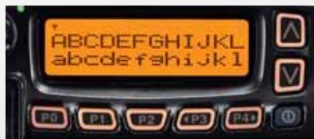 ICOM IC-F6062 - Écran LCD graphique - 1