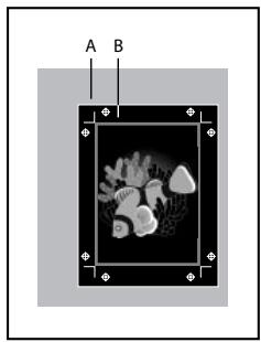 A B