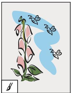 ADOBE ILLUSTRATOR 10 - L'outil Grille à coordonnées - 7