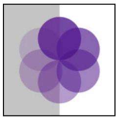 ADOBE ILLUSTRATOR 10 - Création de groupes perçants de transparence - 1