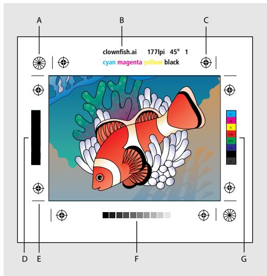 A B C clownfish.ai 177lpi 45° 1 cyan magenta yellow black D E F G