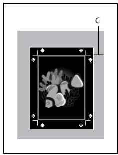 Black-and-white image of a mushroom cluster inside a square frame, with no visible text or symbols.