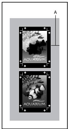 A AQUARIVM AQUARIVM