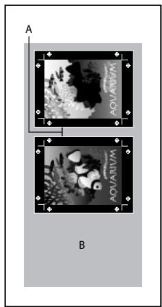 Two black-and-white images labeled A and B, each with a small 'AOVARIVI' label, placed within rectangular frames (no text or symbols on the images themselves)