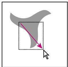 ADOBE ILLUSTRATOR 10 - Sélection des objets avec fond - 1