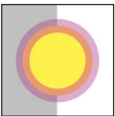 ADOBE ILLUSTRATOR 10 - Transparence - 1