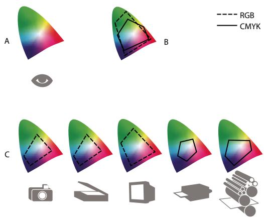 ADOBE ACROBAT STANDARD 9.0 - Pourquoi les couleurs ne concordent pas toujours ? - 1