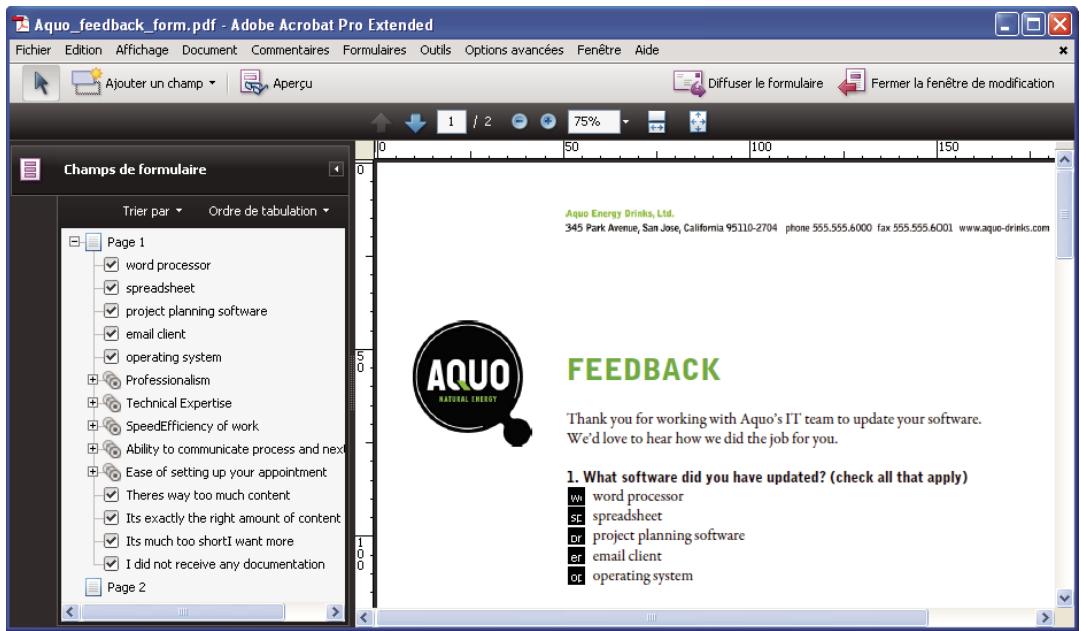 ADOBE ACROBAT STANDARD 9.0 - Vérifiez les champs du formulaire créés par Acrobat. - 1