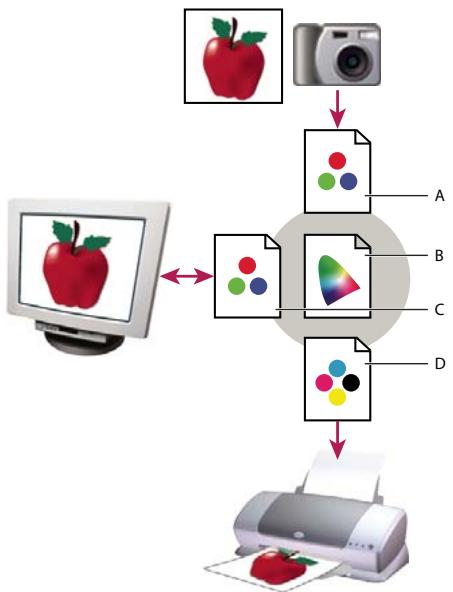 ADOBE ACROBAT STANDARD 9.0 - A propos des profils colorimétriques - 1