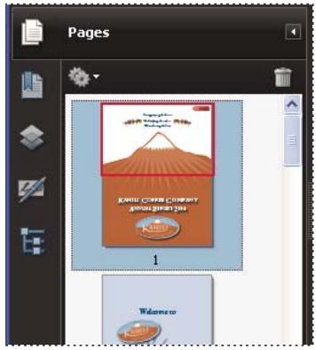 ADOBE ACROBAT STANDARD 9.0 - Redimensionnement d'une vignette - 1