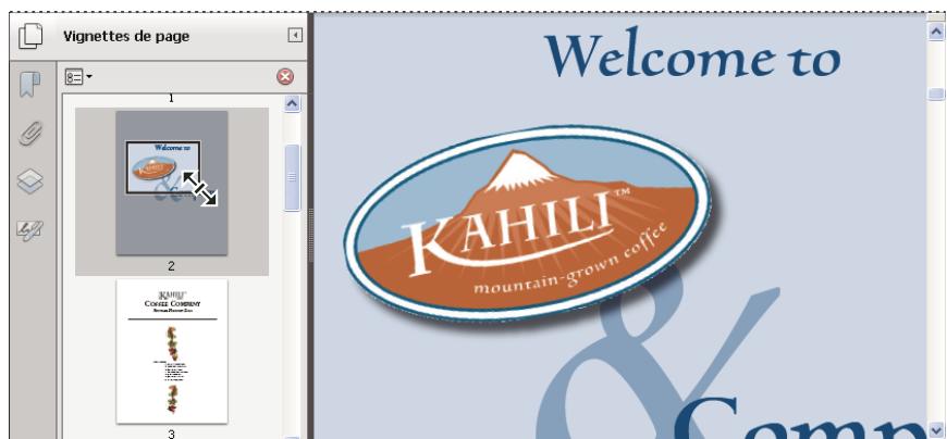 ADOBE ACROBAT X PRO - Changement du facteur de zoom à l'aide d'une vignette - 1