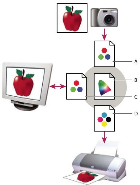 ADOBE ACROBAT X PRO - A propos des profils colorimétriques - 1