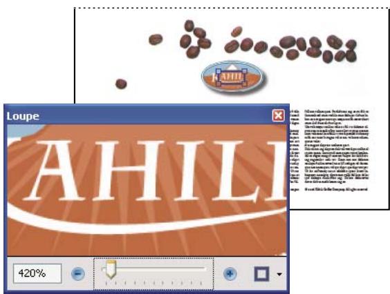 ADOBE ACROBAT X PRO - Changement de facteur de zoom à l'aide de l'outil Loupe - 1