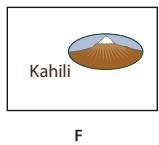 ADOBE ACROBAT X PRO - Modification de l'aspect des boutons - 6