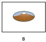 ADOBE ACROBAT X PRO - Modification de l'aspect des boutons - 2