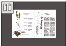 ADOBE ACROBAT X PRO - Définition de la mise en page et de l'orientation - 3