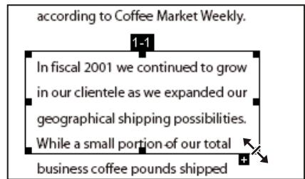 ADOBE ACROBAT X PRO - Déplacement ou redimensionnement d'une division d'article - 1