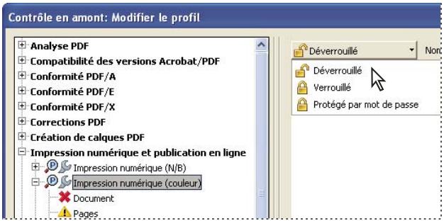 ADOBE ACROBAT X PRO - Verrouillage, déverrouillage et profils protégés par mot de passage - 1