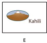 ADOBE ACROBAT X PRO - Modification de l'aspect des boutons - 5