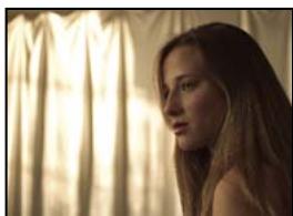 ADOBE AFTER EFFECTS CS3 - Galerie d'effets utilisaires - 2