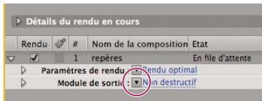 ADOBE AFTER EFFECTS CS3 - Utilisation des paramètres de module de sortie - 1