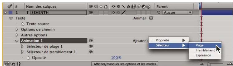 ADOBE AFTER EFFECTS CS3 - Utilisation de sélecteurs - 1