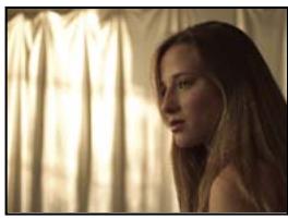 ADOBE AFTER EFFECTS CS3 - Galerie d'effets utilisaires - 5