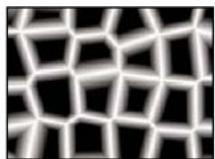 ADOBE AFTER EFFECTS CS3 - Effet Motif cellule - 2