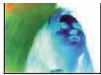 ADOBE AFTER EFFECTS CS3 - Effet Négatif - 2