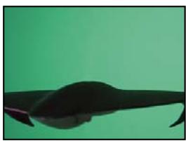 ADOBE AFTER EFFECTS CS3 - Effet Masquage par plage de couleurs - 1