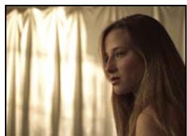 ADOBE AFTER EFFECTS CS3 - Galerie d'effets utilisaires - 1