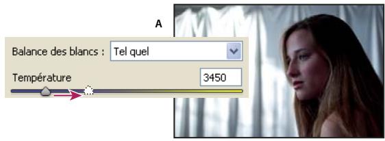 ADOBE AFTER EFFECTS CS3 - Options de balance des blancs dans Camera Raw - 1