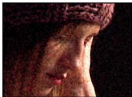 ADOBE AFTER EFFECTS CS3 - Galerie d'effets de bruit et de grain - 7