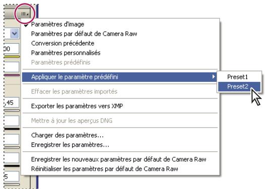 ADOBE AFTER EFFECTS CS3 - Application de paramètres Camera Raw enregistrés - 1