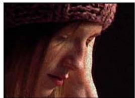 ADOBE AFTER EFFECTS CS3 - Galerie d'effets de bruit et de grain - 4