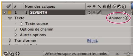 ADOBE AFTER EFFECTS CS3 - Animations de texte - 7