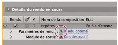 ADOBE AFTER EFFECTS CS3 - Utilisation des paramètres de rendu - 1